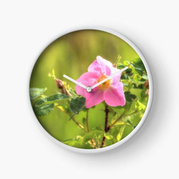 Item preview, Sunlit Wild Rose designed and sold by Jim Sauchyn.