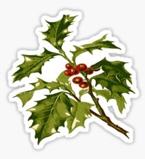 Holly Christmas Red Berry Sticker