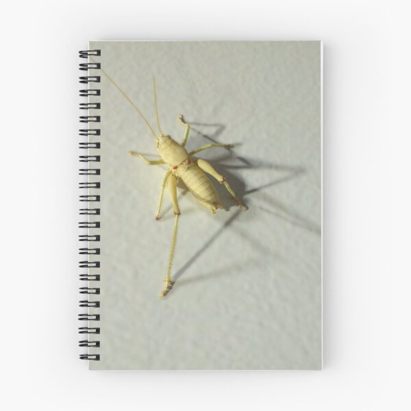 Item preview, Desert Cricket designed and sold by renie faie.