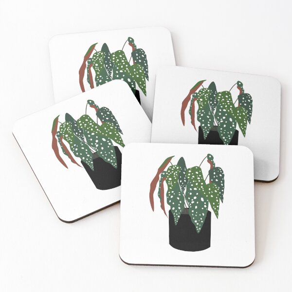 Item preview, Begonia Maculata illustration designed and sold by KAY Artists.