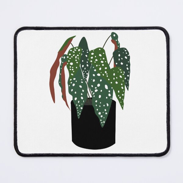 Item preview, Begonia Maculata illustration designed and sold by KAY Artists.