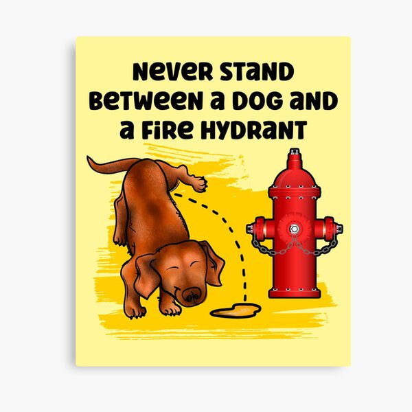 Never Stand Between a Dog and a Fire Hydrant Inspirational Saying Canvas Print