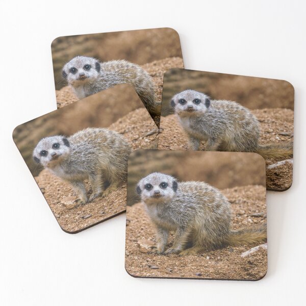 Item preview, The little cub meerkat (Suricata suricatta) sits on a sand. designed and sold by LubosChlubny.
