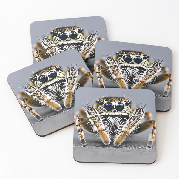 Item preview, Jumping spider designed and sold by ExploreDarkness.