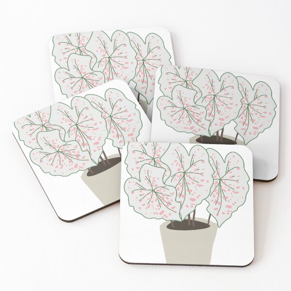 Aperçu de l'œuvre Caladium blanc créée et vendue par KAY Artists.