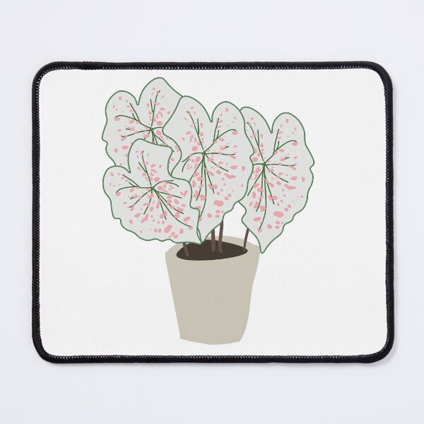 Item preview, Caladium Blanco designed and sold by KAY Artists.
