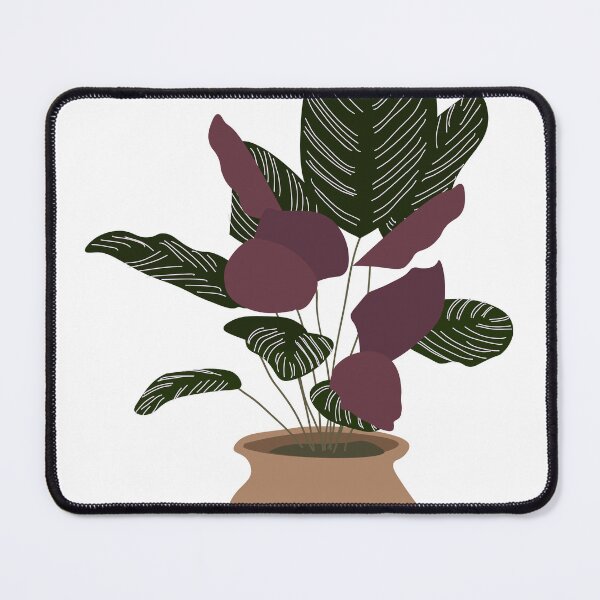 Item preview, Calathea designed and sold by KAY Artists.