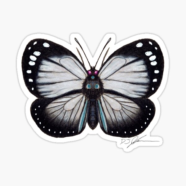 Butterfly Sticker