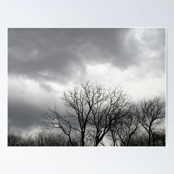 Item preview, Black and White Trees and Sky designed and sold by Robert Chapman.