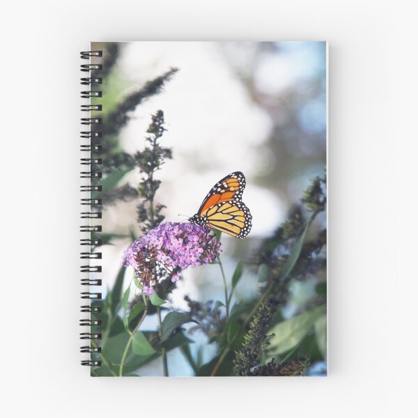 Aperçu de l'œuvre Papillon monarque orange sur le buisson papillon créée et vendue par HelenPDesigns.