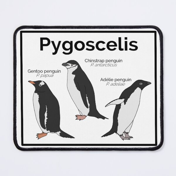 Item preview, Genus Pygoscelis (Brush-tailed penguins) designed and sold by taylorrowan.