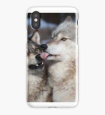 Derpy Wolves iPhone Case