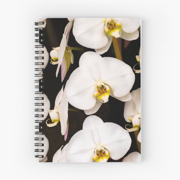 Item preview, Orchids designed and sold by louise.