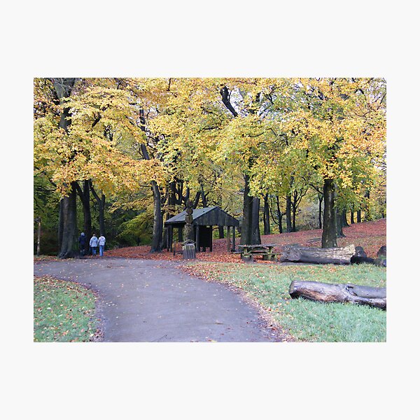 Item preview, A Walk in the Park designed and sold by Andi Duncan.