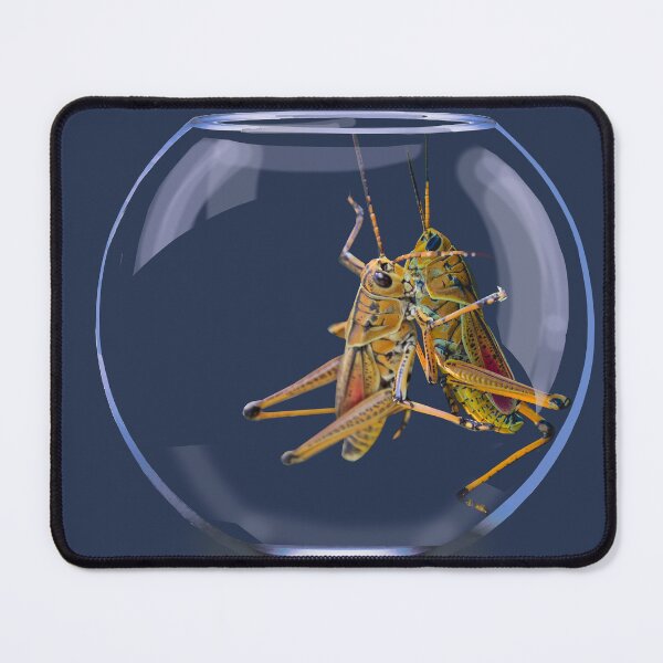 Item preview, One Kiss, Cute Grasshopper designed and sold by emporioamanoa.