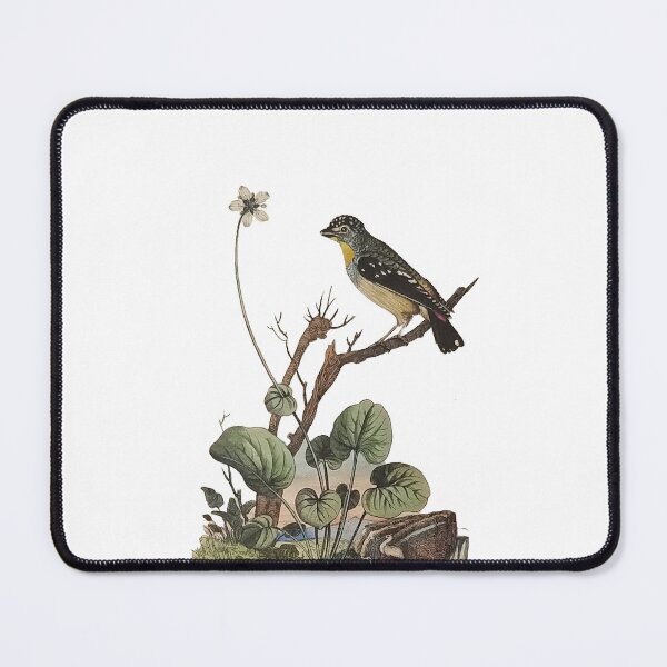 Item preview, The Spotted Pardalote designed and sold by louisxvpod.
