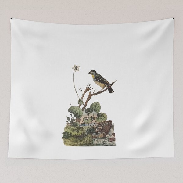 Item preview, The Spotted Pardalote designed and sold by louisxvpod.