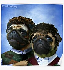 step pugs Poster