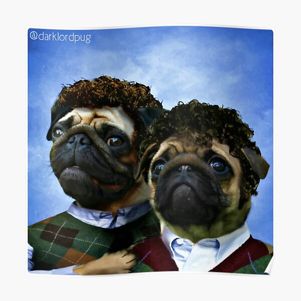step pugs Poster