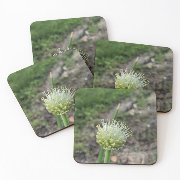 Item preview, Green Onion Blossom 2 designed and sold by AustaArt.