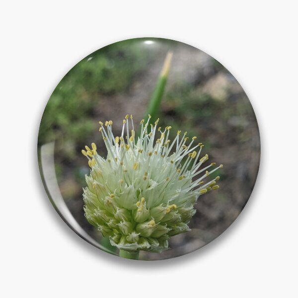Item preview, Green Onion Blossom 2 designed and sold by AustaArt.