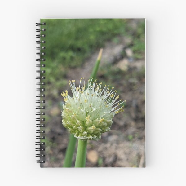 Item preview, Green Onion Blossom 2 designed and sold by AustaArt.