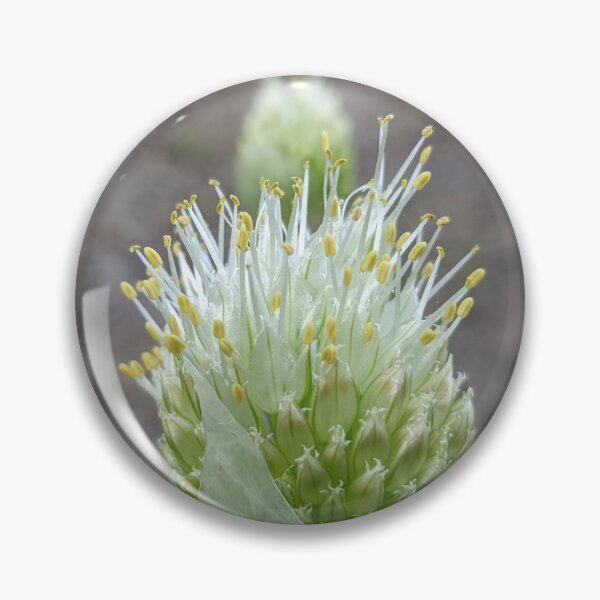 Item preview, Green Onion Blossom 3 designed and sold by AustaArt.