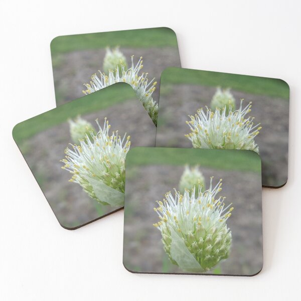 Item preview, Green Onion Blossom 3 designed and sold by AustaArt.