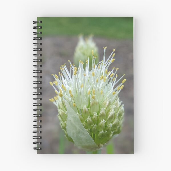 Item preview, Green Onion Blossom 3 designed and sold by AustaArt.