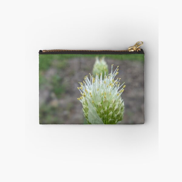 Item preview, Green Onion Blossom 3 designed and sold by AustaArt.
