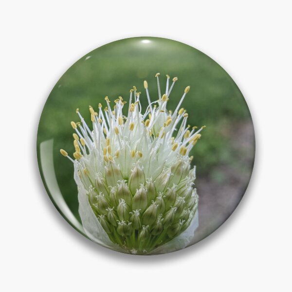 Item preview, Green Onion Blossom 4 designed and sold by AustaArt.