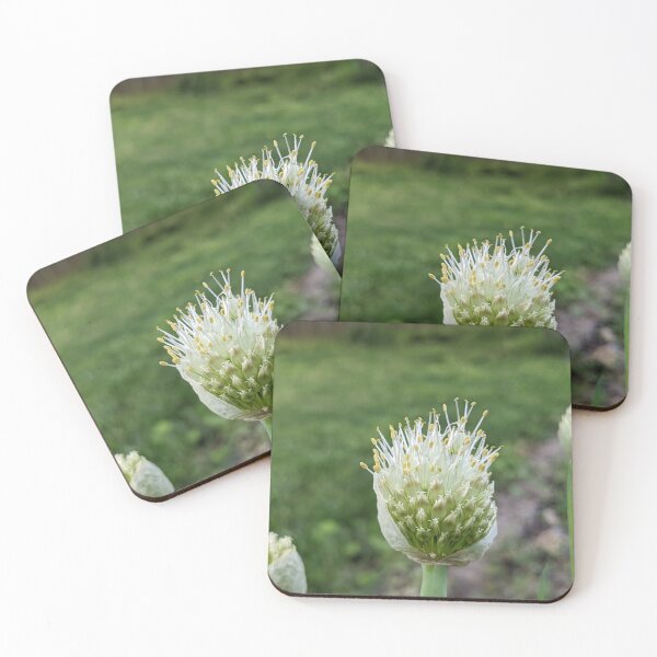 Item preview, Green Onion Blossom 4 designed and sold by AustaArt.