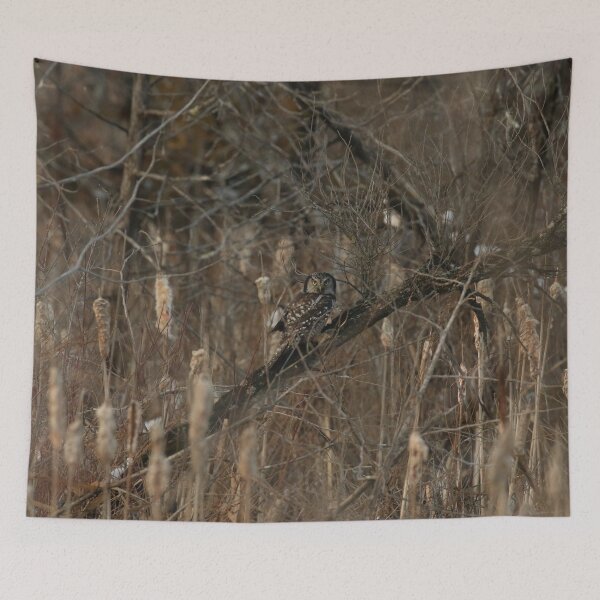 Item preview, Hawk owl at his cache designed and sold by locustgirl.