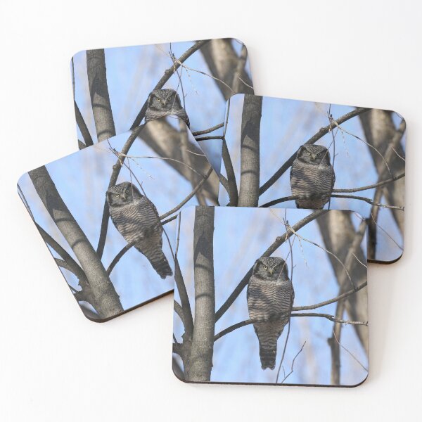 Item preview, Intensity designed and sold by locustgirl.