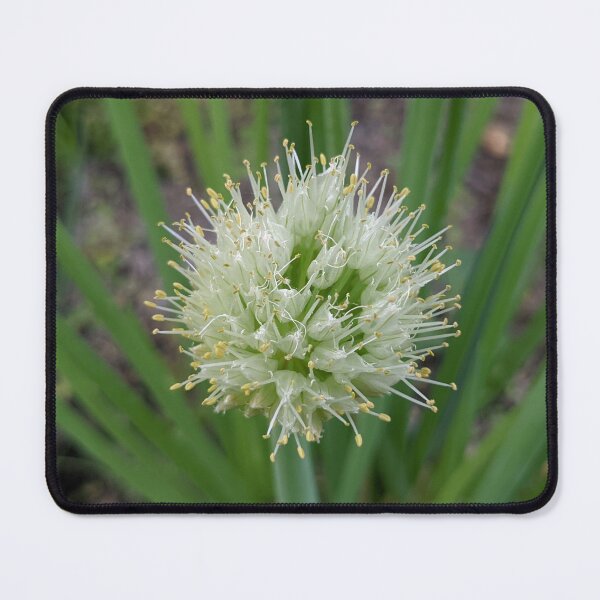 Item preview, Green Onion Blossom 5 designed and sold by AustaArt.