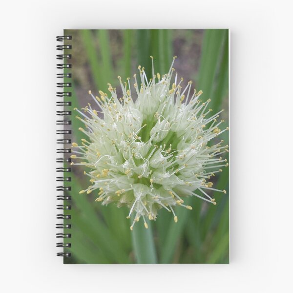 Item preview, Green Onion Blossom 5 designed and sold by AustaArt.