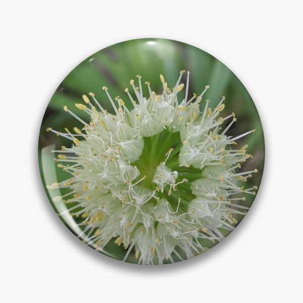 Item preview, Green Onion Blossom 6 designed and sold by AustaArt.