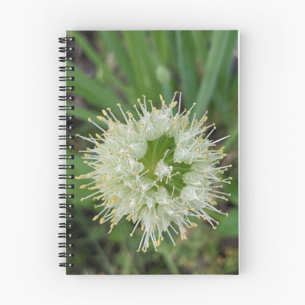 Item preview, Green Onion Blossom 6 designed and sold by AustaArt.