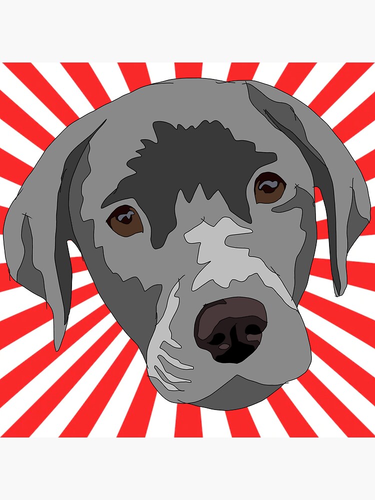 "Silver lab Red and white starbursts " Sticker for Sale by LeahcarsArt