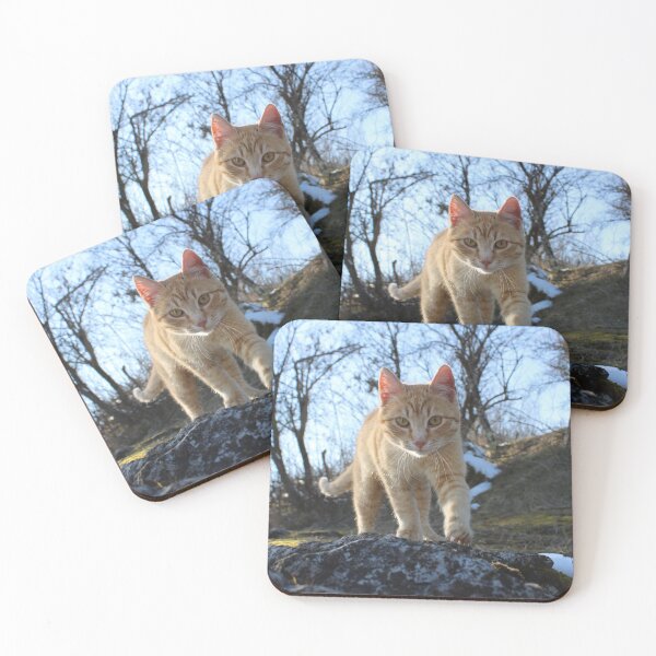 Item preview, Mitja cat designed and sold by DjedMilosHC.