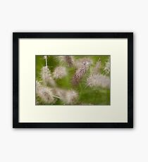 Fluffy Framed Print