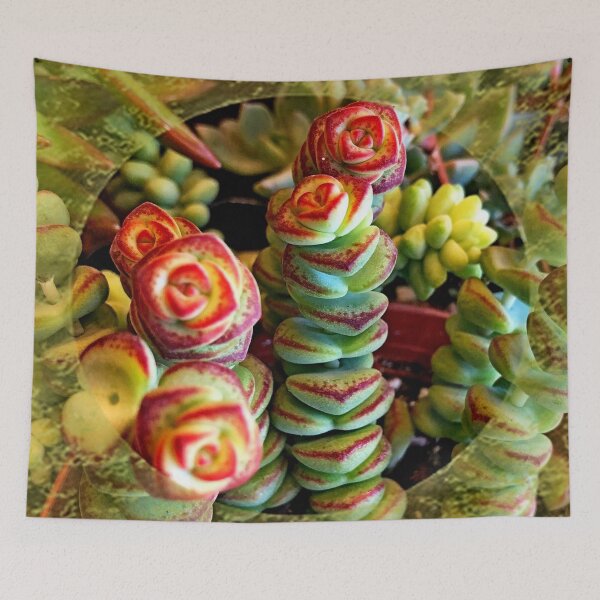 Item preview, Red and Green succulent arrangement and Lace pattern by Iritof designed and sold by iritof.