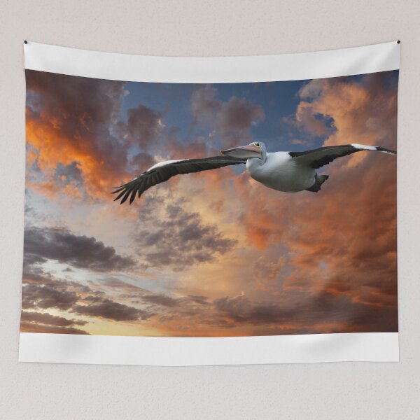 Item preview, Pelican Sunset  designed and sold by Seesee.