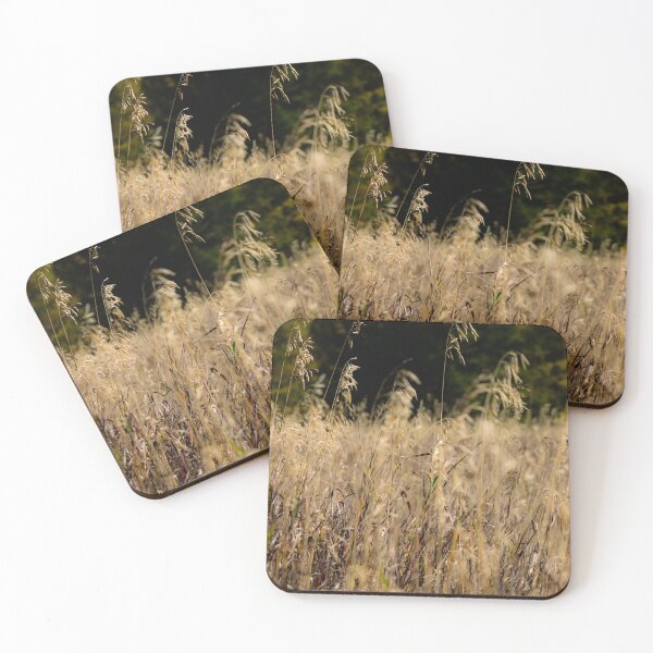 Item preview, Scenes from the trail designed and sold by CanadianWild418.