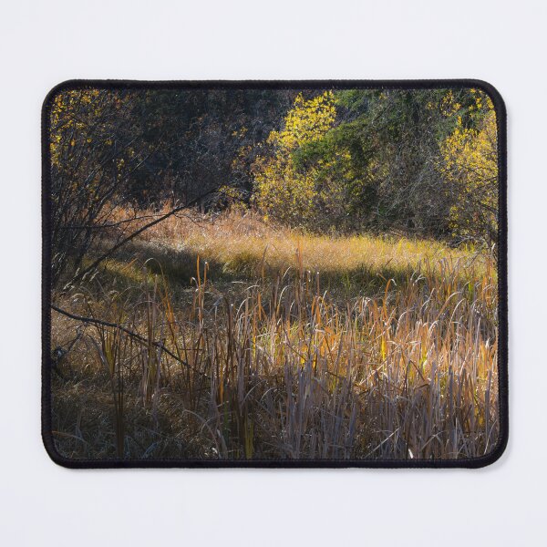 Item preview, Fall colours designed and sold by CanadianWild418.