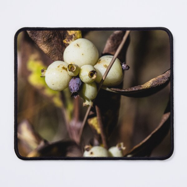 Item preview, Wild plants designed and sold by CanadianWild418.