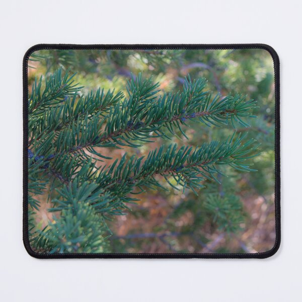 Item preview, Evergreen designed and sold by CanadianWild418.