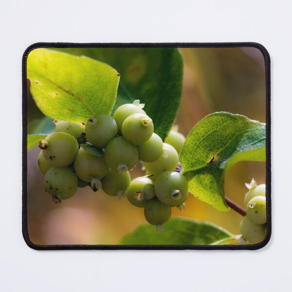 Item preview, Macro berry image designed and sold by CanadianWild418.
