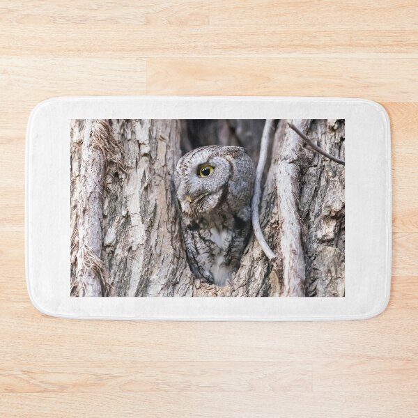 Item preview, Screech Owl - Motionless Gaze designed and sold by Puttaswamy Ravishankar.