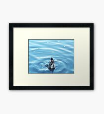 Dunk Framed Print